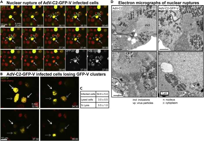 Figure 2