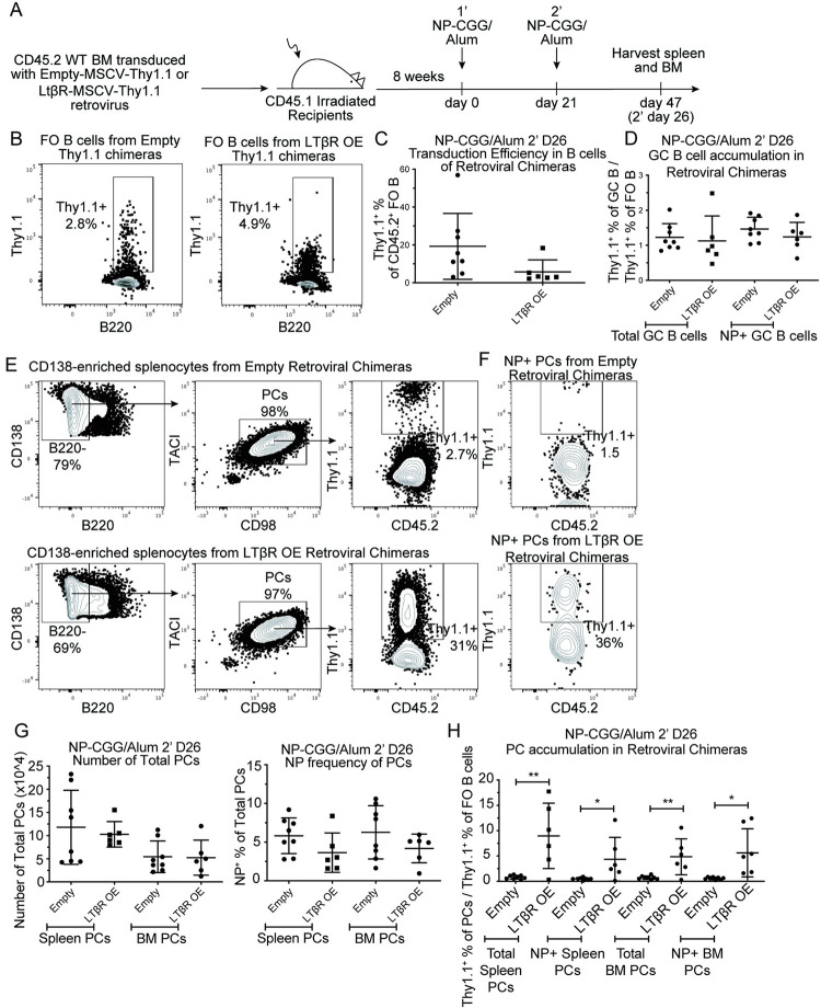 Fig 5