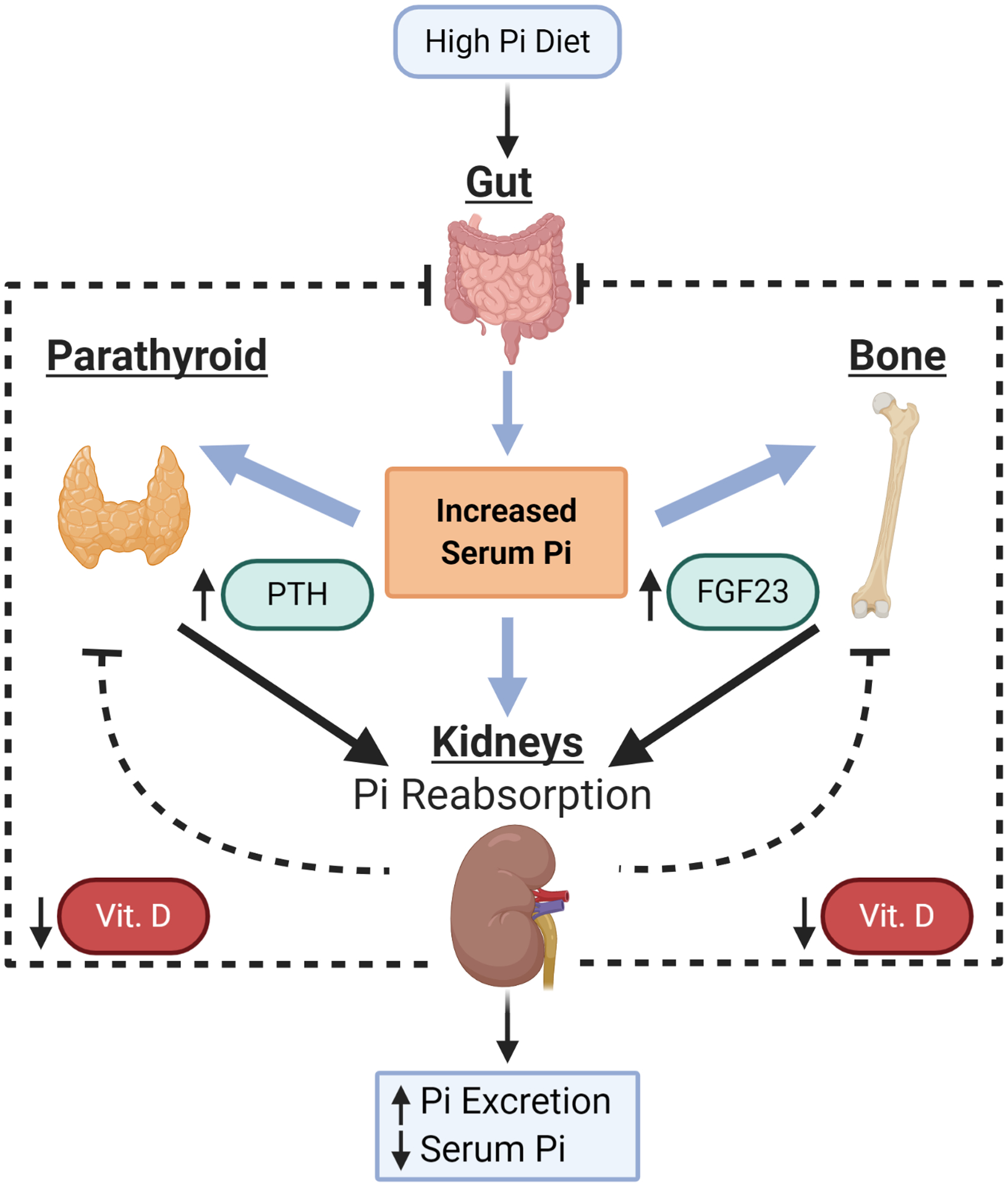 Figure 1: