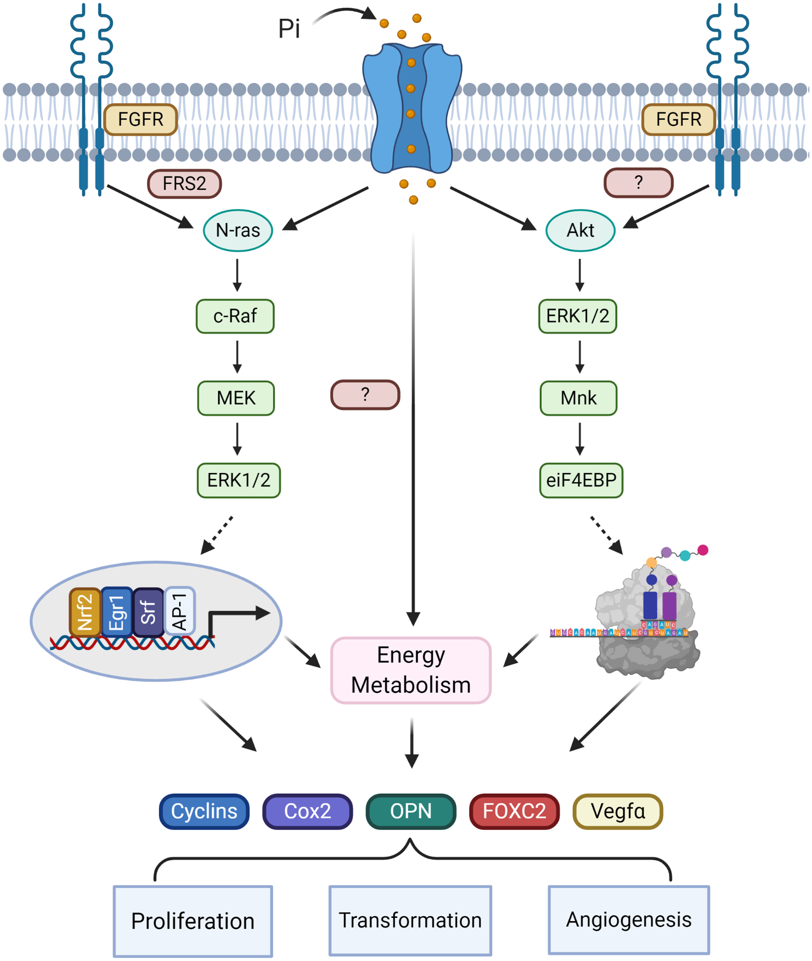 Figure 2: