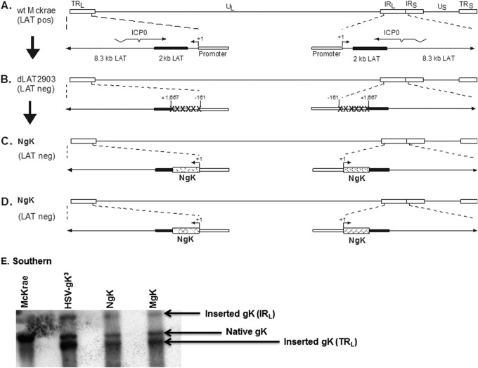 FIG 2