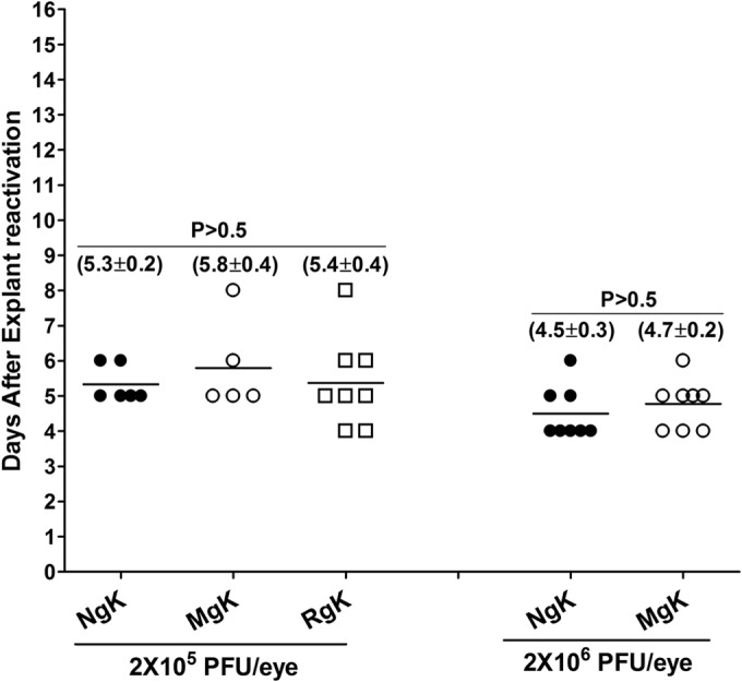 FIG 11