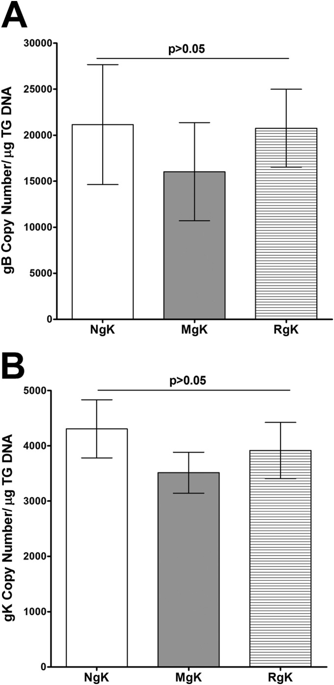 FIG 10