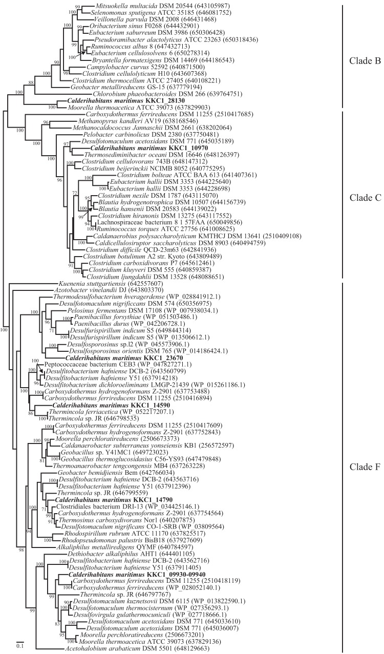 FIG 3