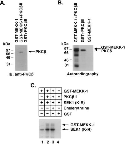 FIG. 8