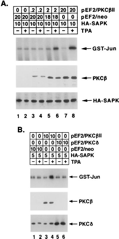 FIG. 9