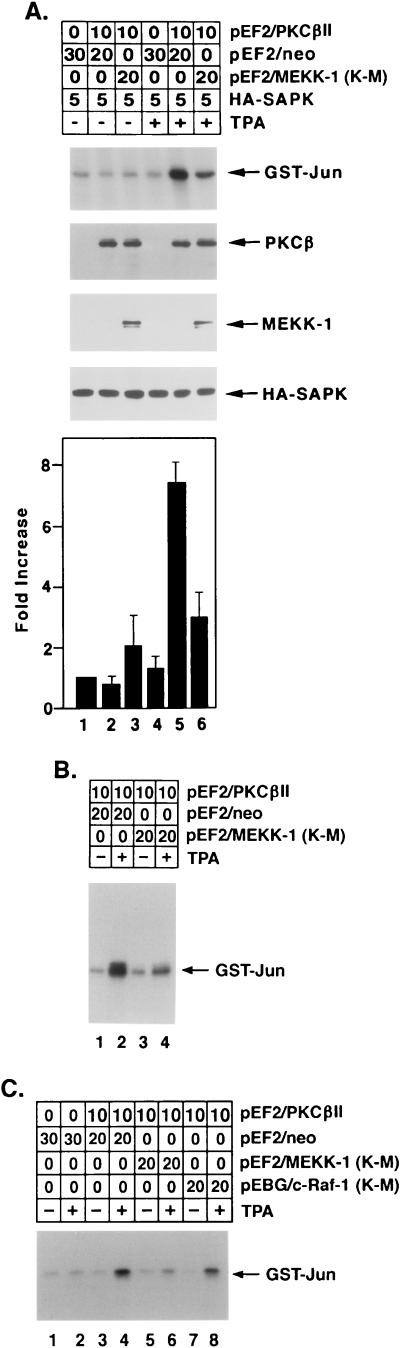 FIG. 10