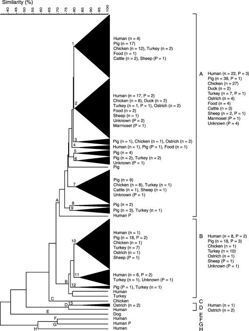 FIG. 1.