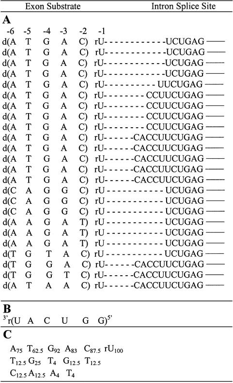 graphic file with name gkg280t2.jpg