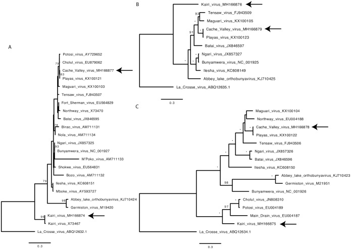 Fig 6