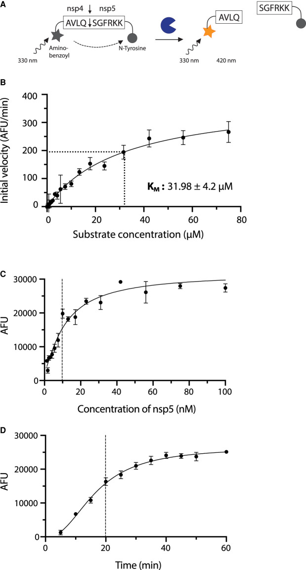 Figure 2.