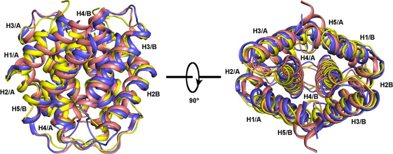 Figure 8