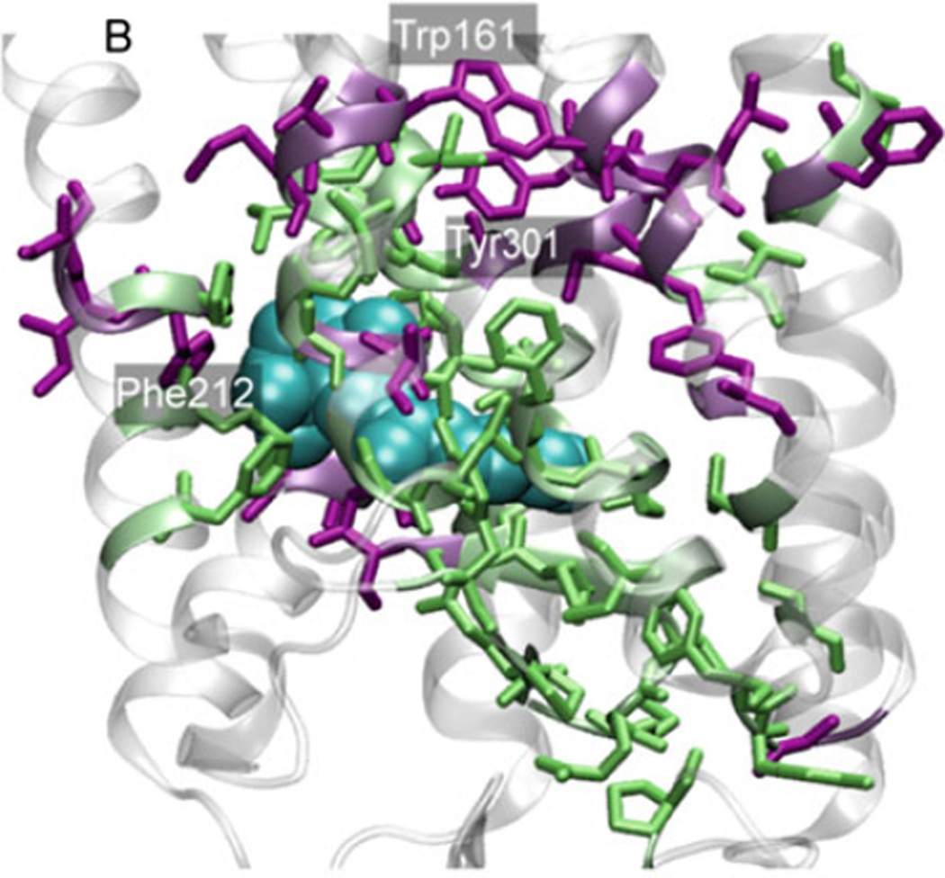 Fig. 11