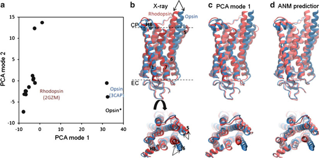 Fig. 10