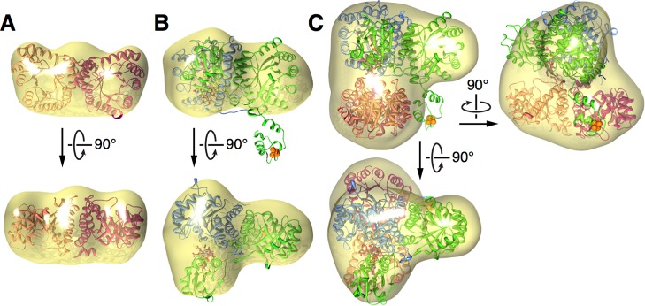 Figure 4