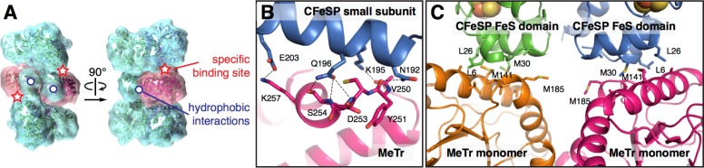 Figure 11