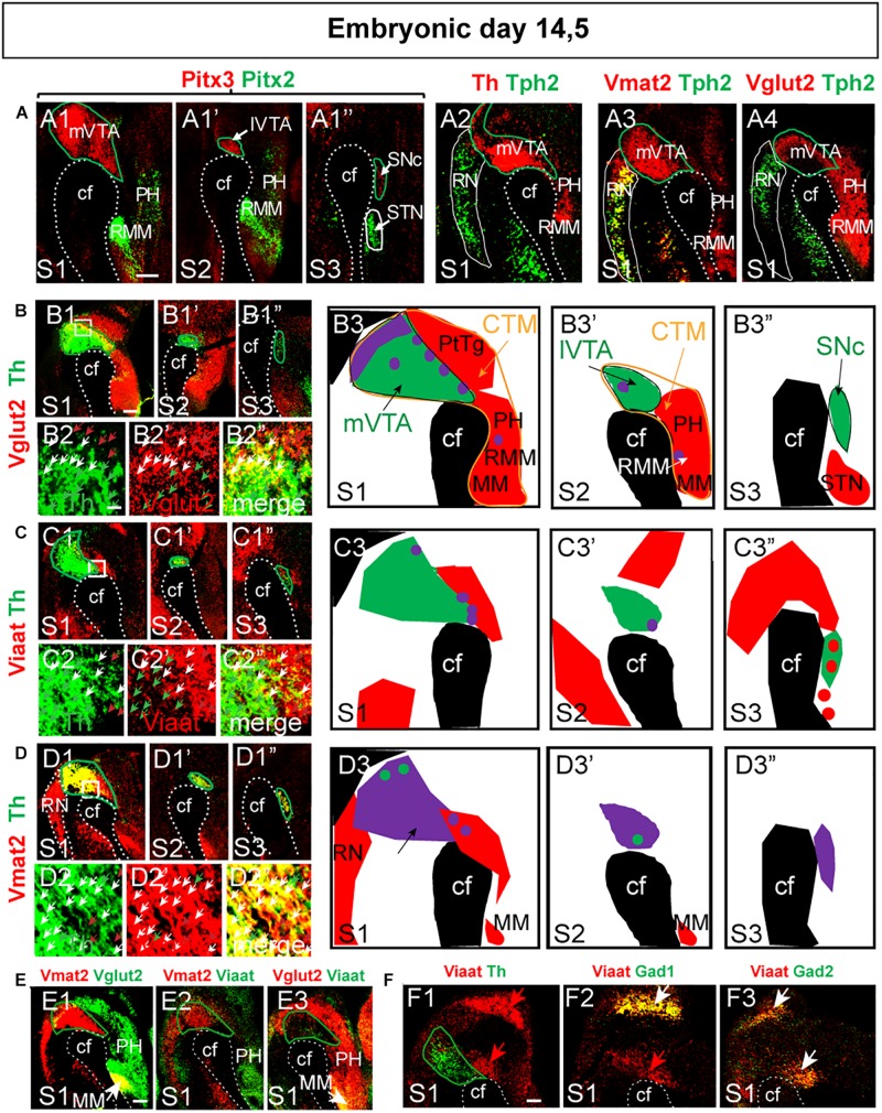 FIGURE 3