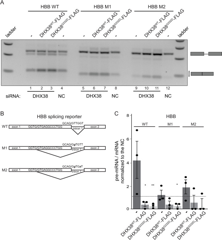 Fig 4