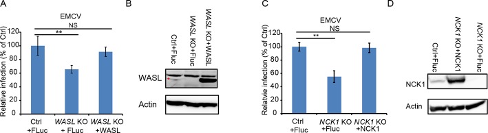 Figure 2—figure supplement 2.