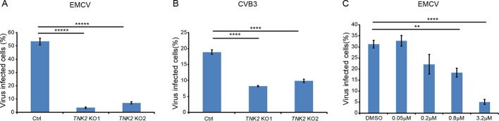 Figure 1—figure supplement 1.