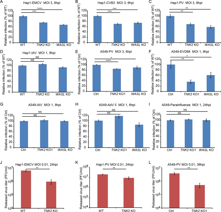 Figure 1—figure supplement 3.