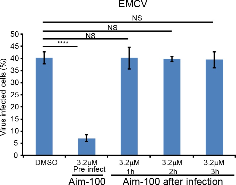 Figure 4—figure supplement 1.