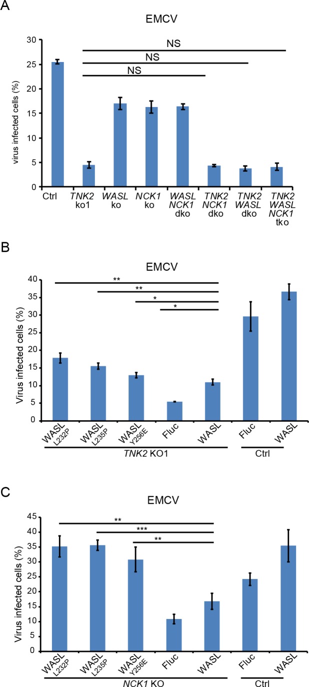 Figure 3—figure supplement 3.