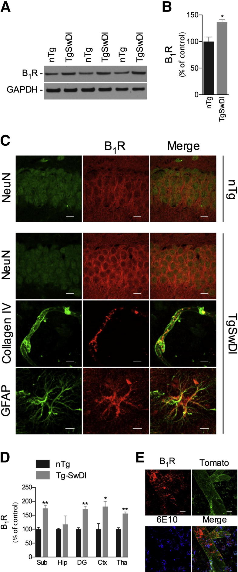 Figure 1