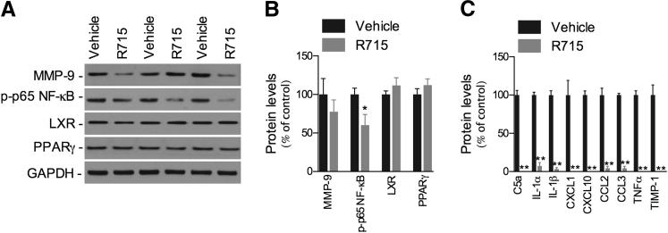 Figure 5