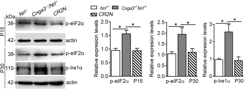 Figure 5.