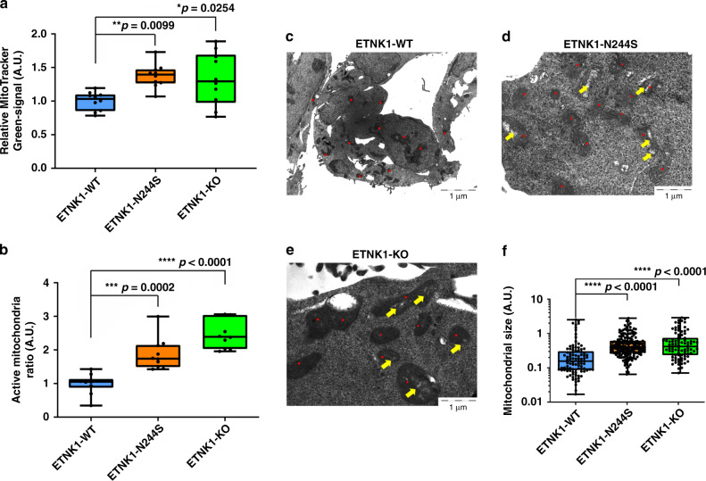 Fig. 1