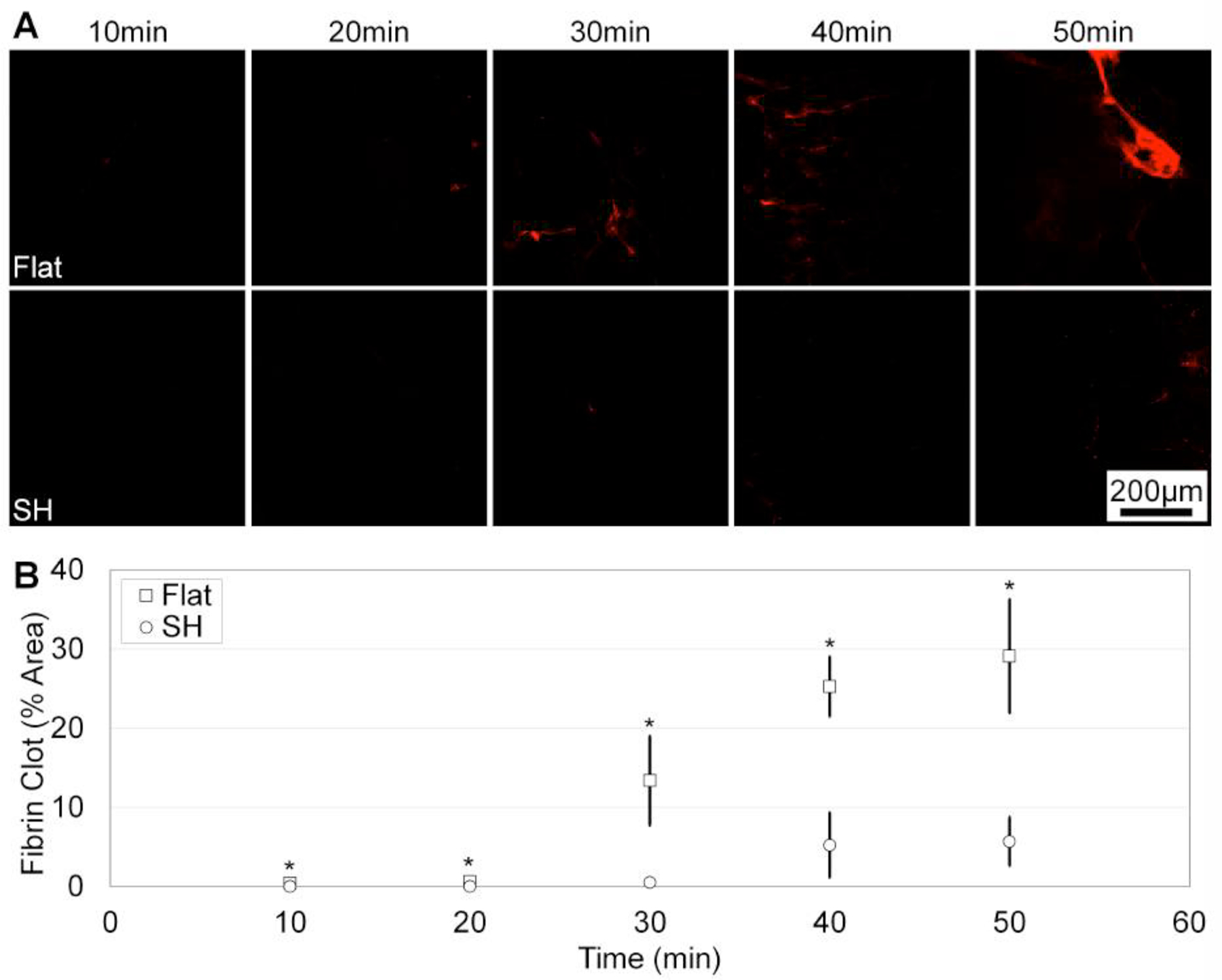 Figure 4: