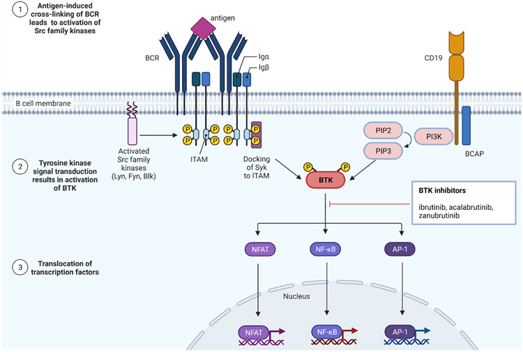 Figure 2: