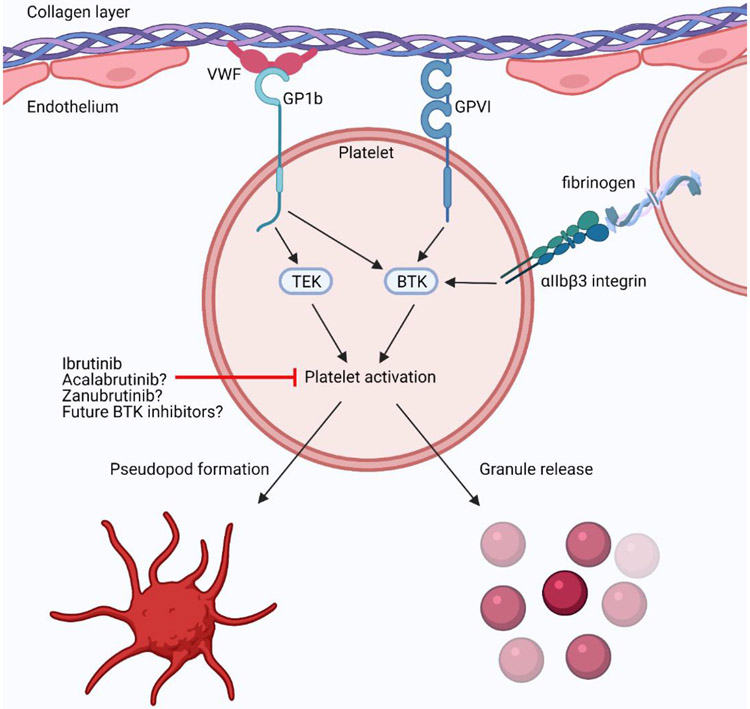 Figure 3: