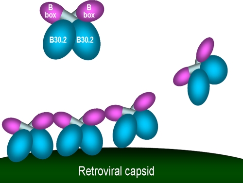 FIG. 9.