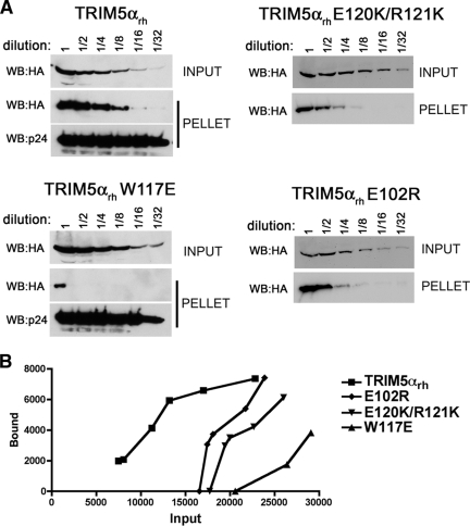 FIG. 6.