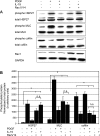 Fig. 10.