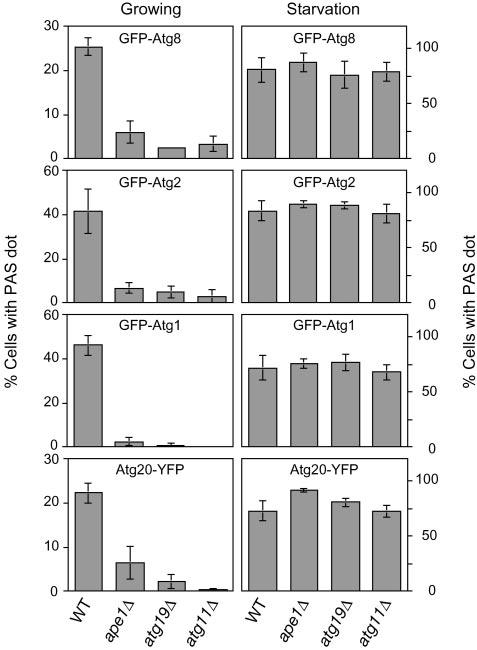 FIG.2