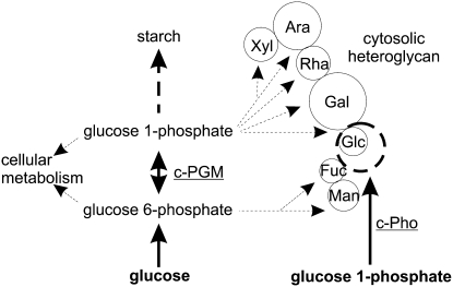 Figure 9.