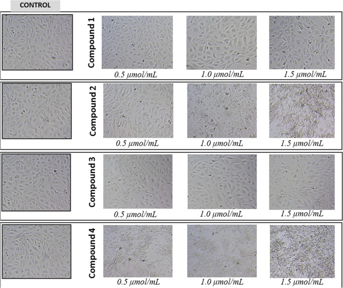 Fig. 8