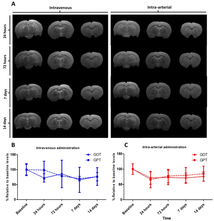 Figure 14