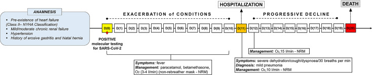 Figure 1