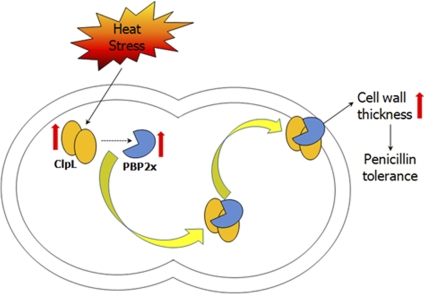 Fig. 10.