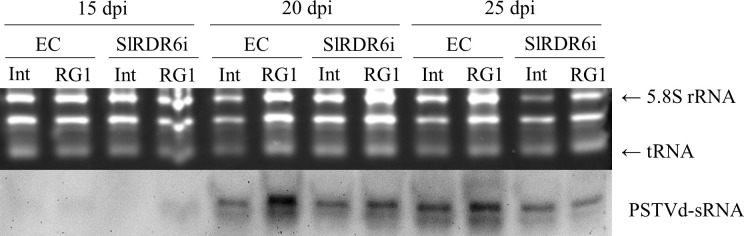 Fig 6