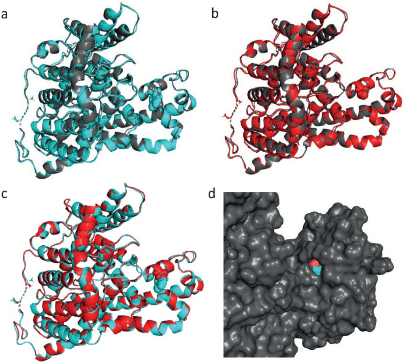 Figure 7