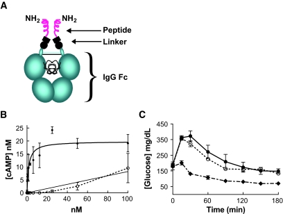 FIG. 1.