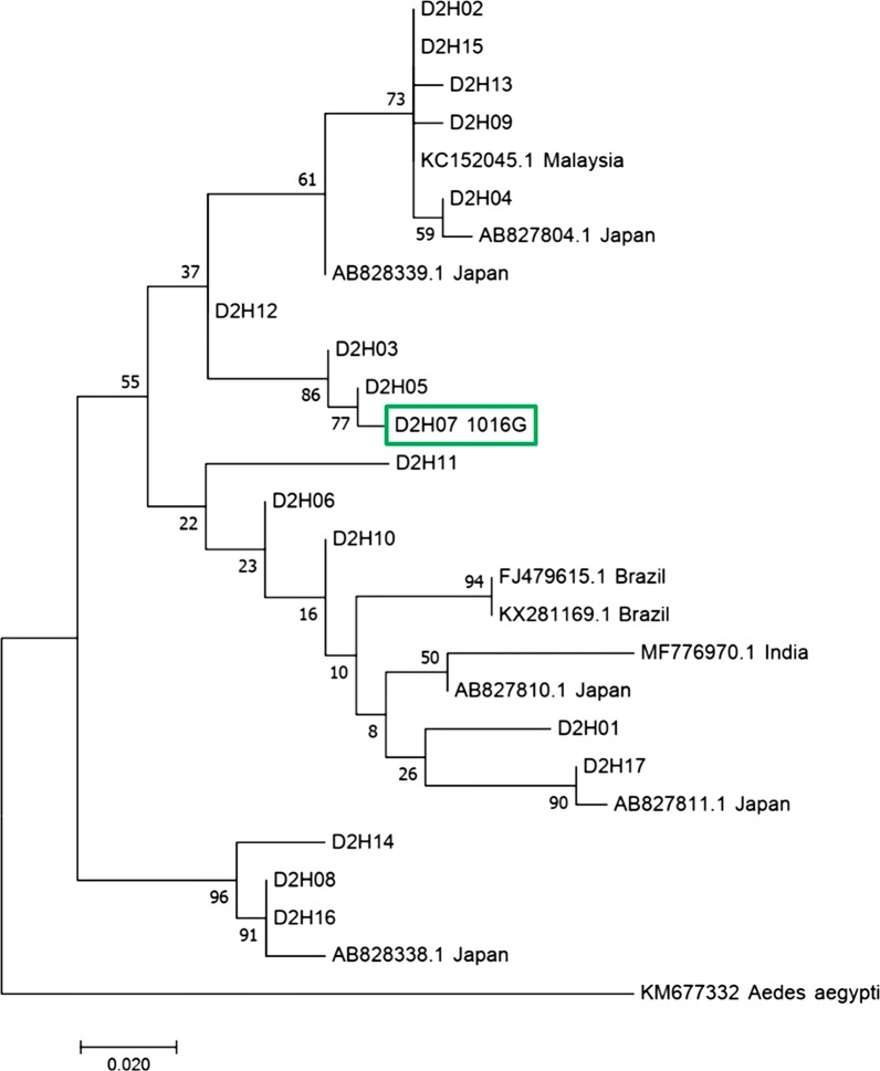 Fig. 6