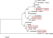 Fig. 7