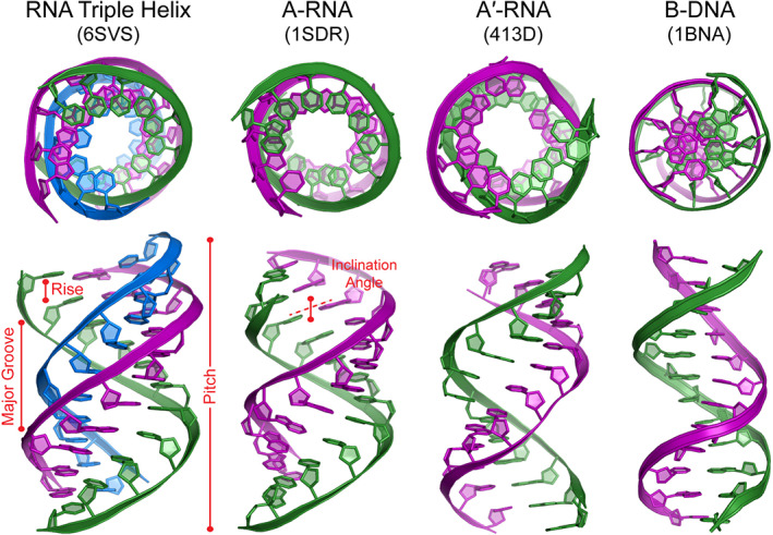 FIGURE 2