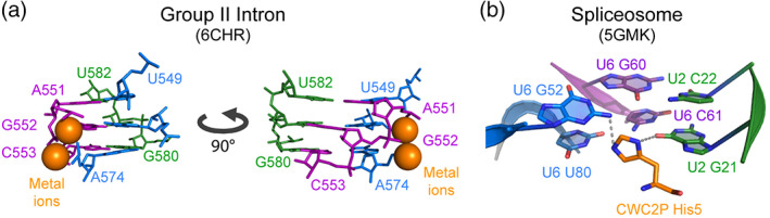 FIGURE 4